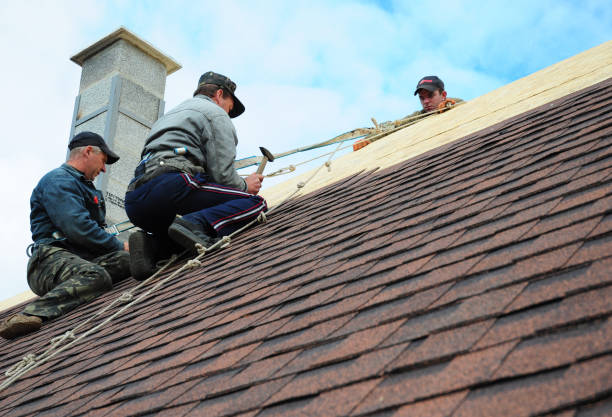 Best Commercial Roofing Services  in Kahaluu, HI